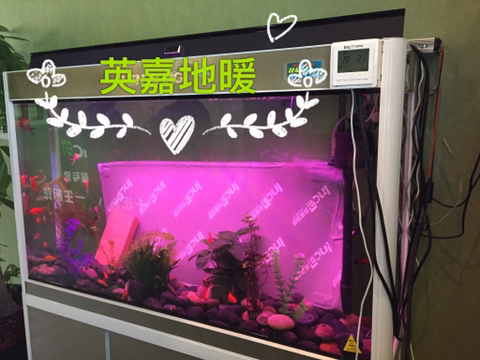 十全十美的供暖系統，您的最佳選擇